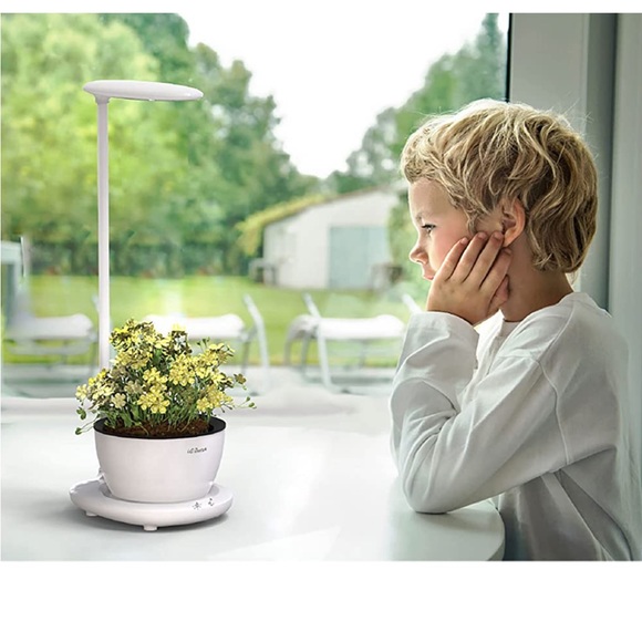 Amazon Wall Decor Desktop Plant Light With Timerheight Adjustable